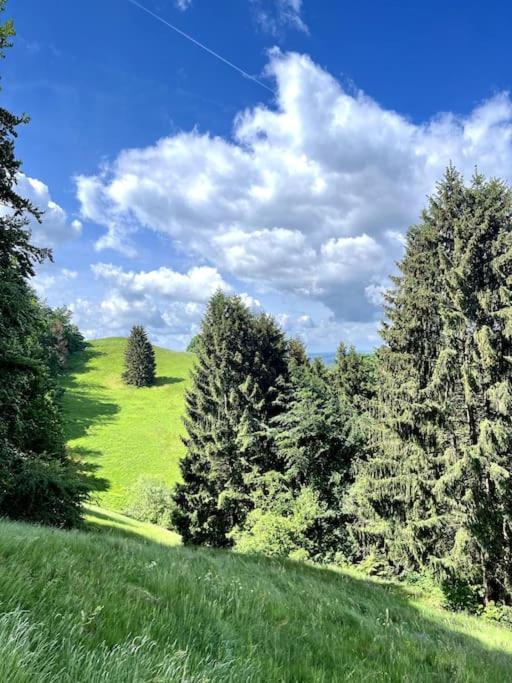 Ferienwohnung Am Hang Mit Malerischer Aussicht Osterode am Harz Екстер'єр фото